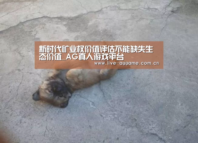 新时代矿业权价值评估不能缺失生态价值_AG真人游戏平台(图2) ag娱乐