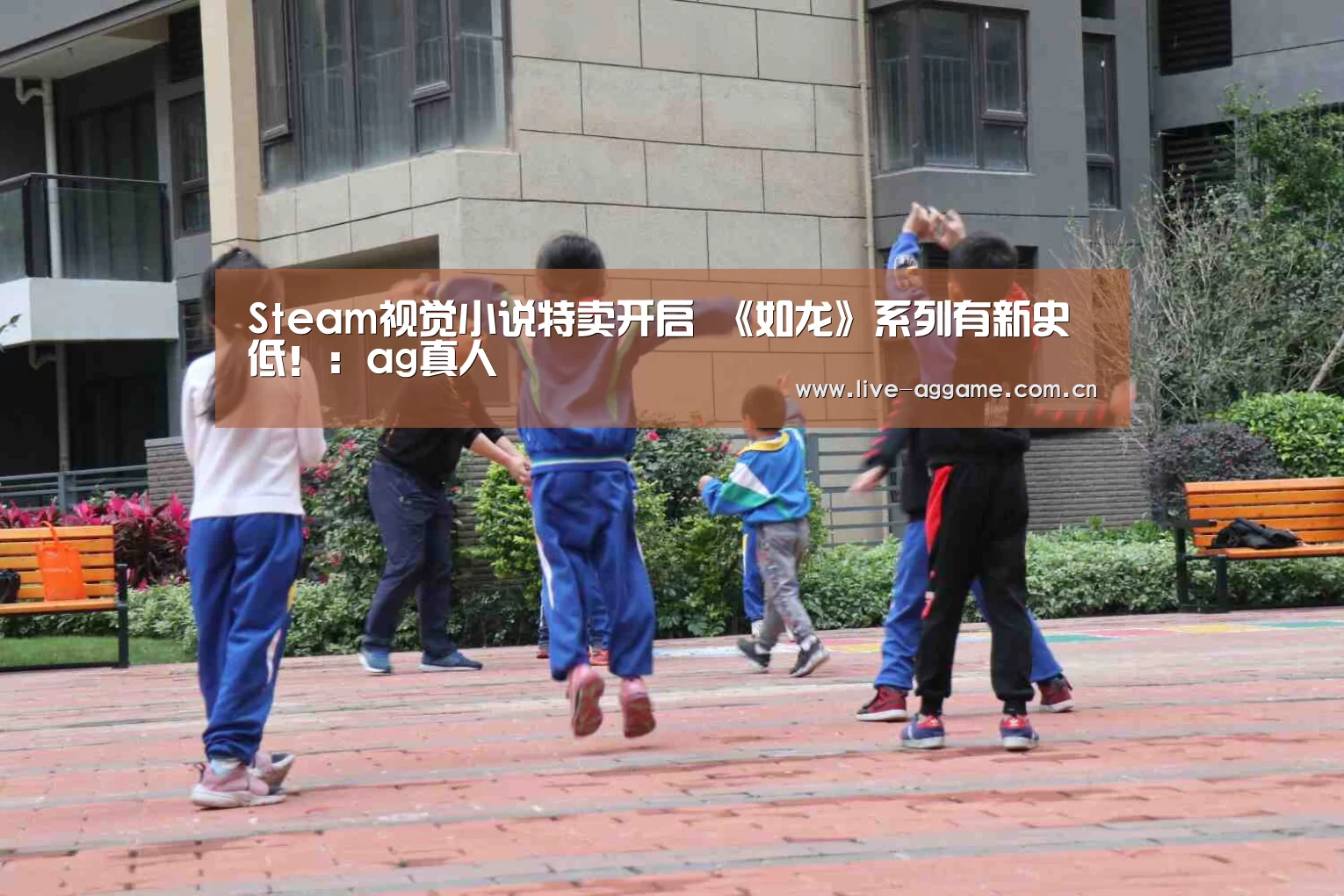 Steam视觉小说特卖开启  《如龙》系列有新史低！：ag真人